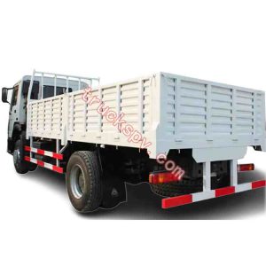 15TONS load capacity HOWO cargo truck shows on truckspv.com
